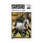 Running Free Postage