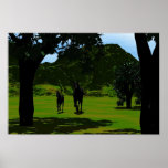 Running Free posters