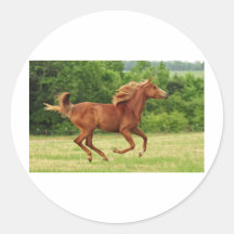 Running Free Round Stickers