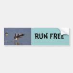 Running Greylag Goose Bumper Stickers