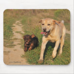 Running happy  Dachshund & Labrador Mouse Pads