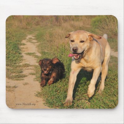 Running happy  Dachshund & Labrador Mouse Pads by Rainmountain