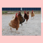 Running Hens Card cards