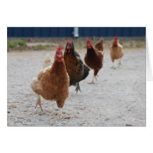 Running Hens Card