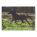 Running Horse Card by LizWittman Running Horse Card