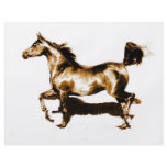 Running Horse Flyers