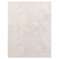 running horse letterhead_vertical