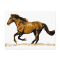 Running Horse postcards by made_in_atlantis Running Horse postcards