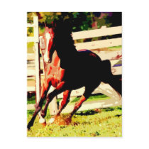 Running Horse postcards by hizli_art Running Horse postcards