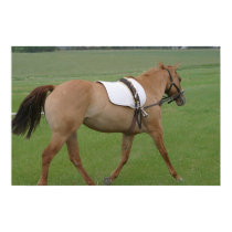 Running Horse posters by GoldEar Running Horse posters