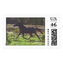 Running Horse Stamp by LizWittman Running Horse Stamp