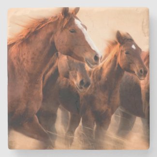 Running horses, blur and flying manes stone beverage coaster