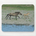 running horses mousepads
