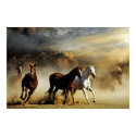 Running Horses posters