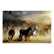 Running Horses print