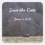 Running horses Save the Date Sticker