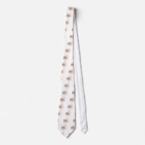 Running iGuide 10K Neckties