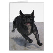 Running on the Beach, Paris Merille cards by digitaled Running on the Beach, Paris Merille cards