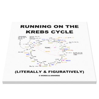 Running On The Krebs Cycle (Science Humor) Gallery Wrapped Canvas