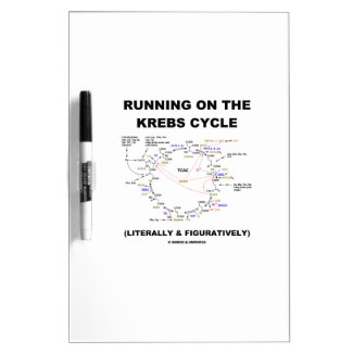 Running On The Krebs Cycle (Science Humor) Dry-Erase Board