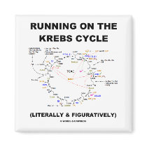 Running On The Krebs Cycle (Science Humor) magnets by wordsunwords Running On The Krebs Cycle (Science Humor) magnets