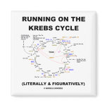 Running On The Krebs Cycle (Science Humor) magnets