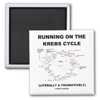 Running On The Krebs Cycle (Science Humor) Fridge Magnets