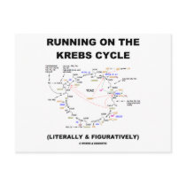 Running On The Krebs Cycle (Science Humor) Postcard