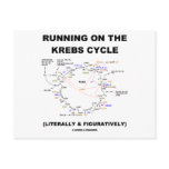Running On The Krebs Cycle (Science Humor) postcards