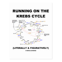 Running On The Krebs Cycle (Science Humor) Postcards