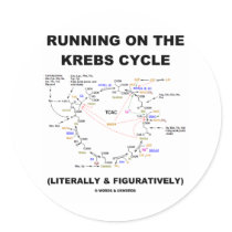 Running On The Krebs Cycle (Science Humor) Round Sticker