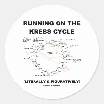 Running On The Krebs Cycle (Science Humor) Round Sticker