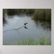 Running on Water Posters