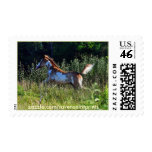 Running Pinto Filly & Field US Postage Stamp
