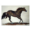 Running Quarter Horse posters