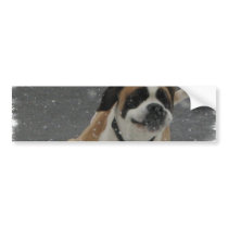 Running Saint Bernard Bumper Sticker
