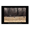 Running Whitetail Poster posters by Creation_Captured Running Whitetail Poster posters