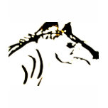 Running Zebra Tshirt