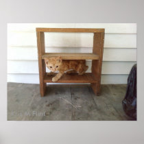 Runt on shelf posters
