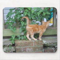 runtt (2) mousepads