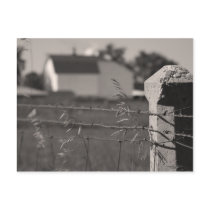 Rural Fence Post Post Cards