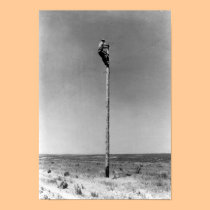 Rural Lineman Poster posters