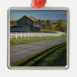 Rural road through Bluegrass region of 2 Christmas Ornaments