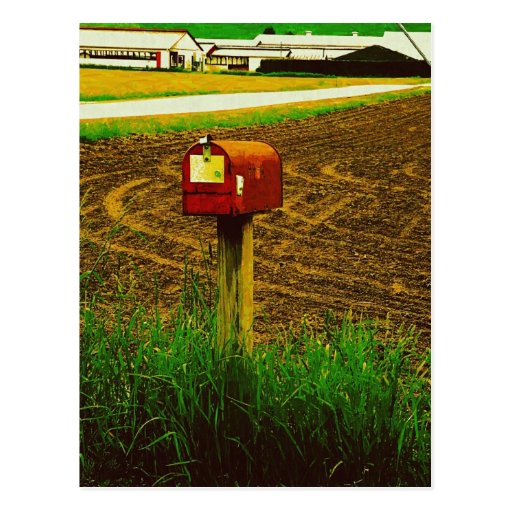 Rural Route Mailbox Postcard Zazzle