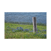 Rural Texas in Spring canvas print
