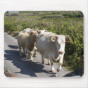 Rush Hour mousepads