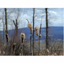 Rushes photo sculptures