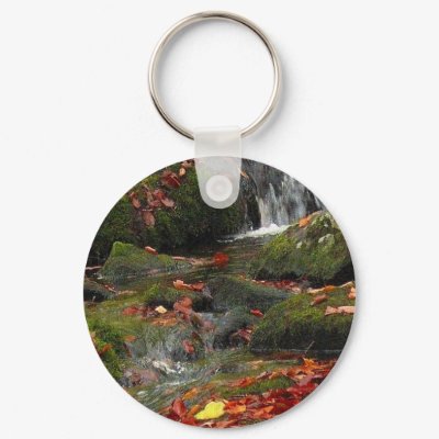 rushing autumn brook and colored leaves key chain by alyciakeating