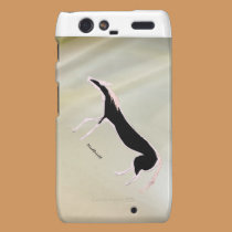 Rushing Horse casemate cases