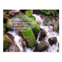 Rushing Mountain Creek Post Card